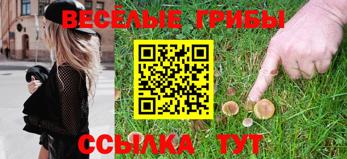 Галлюциногенные грибы Cubensis Зеленодольск