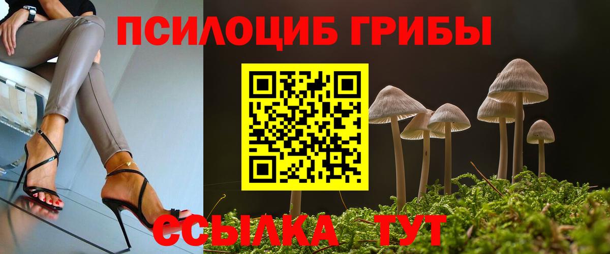 Псилоцибиновые грибы Psilocybe  Вход с VPN  Зеленодольск  Псилоцибиновые грибы MAGIC MUSHROOMS 